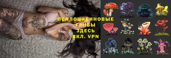 сатива Абинск