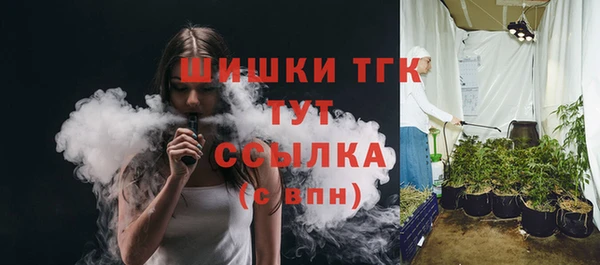 сатива Абинск