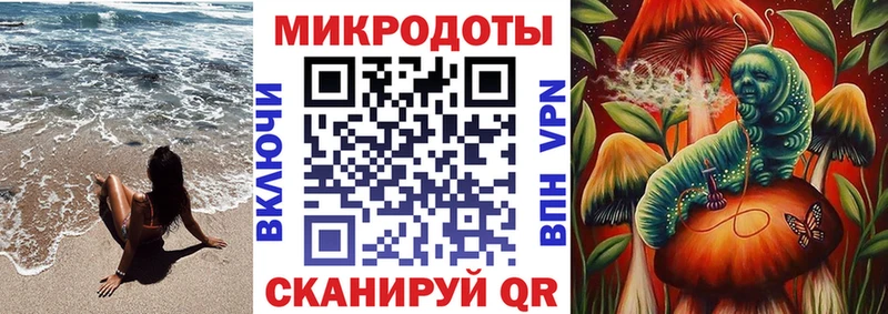 Псилоцибиновые грибы Psilocybine cubensis  Кисловодск 